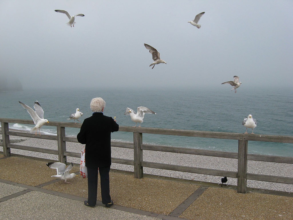 Mujer alimentando a las gaviotas. Foto: Alchemist-hp (licencia CC)