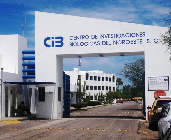 Entrada al Centro de Investigaciones Biológicas del Noroeste (CIBNOR-México)