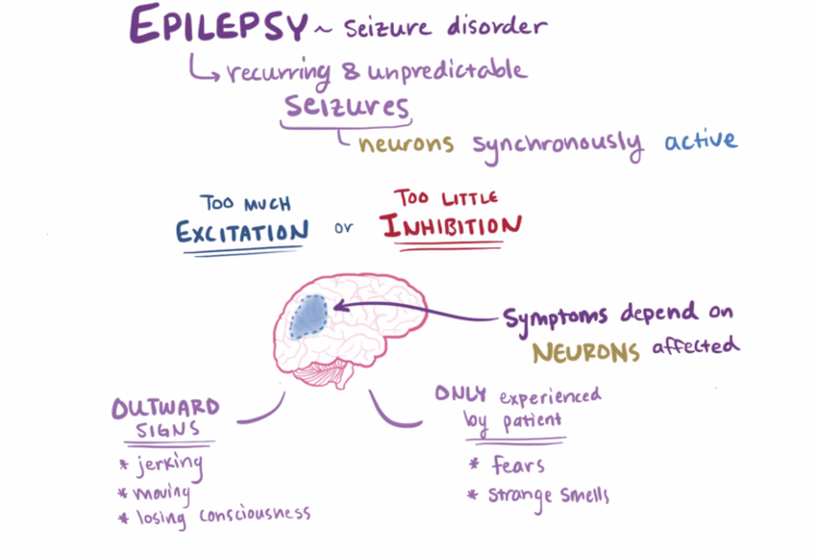 esquema-Fisiopatologia-epilepsia